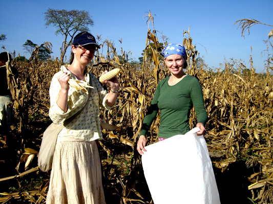 harvestingjennyandi